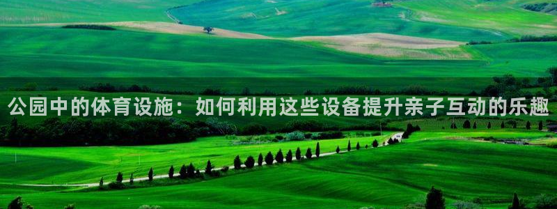 NG大舞台官网下载招商电话:公园中的体育设施:如何利用这些设